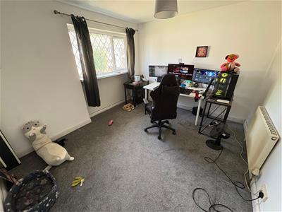 Picture 7